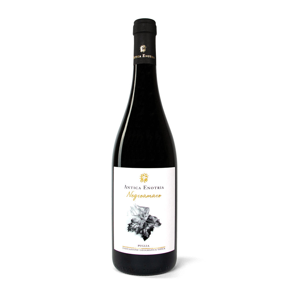 Bio-Rotwein-Negroamaro-IGT-Enotria