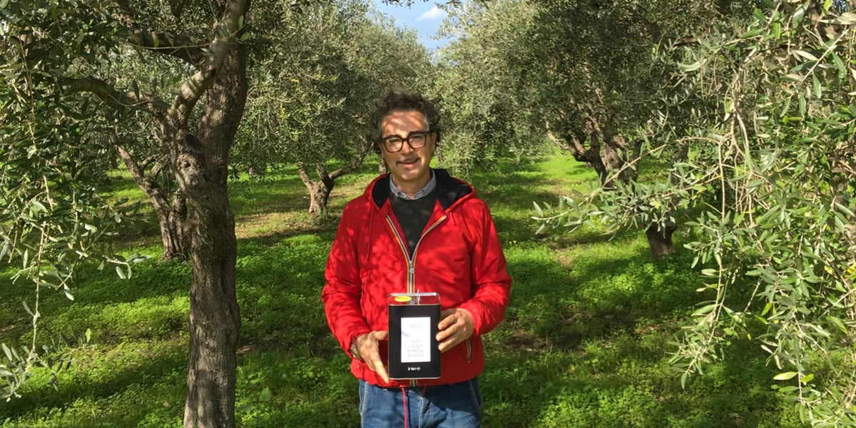 Olivenbaum Abo/Patenschaft / 3l Bio Extra Natives Olivenöl - Italien Sizilien