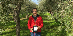 Olivenbaum Abo/Patenschaft / 3l Bio Extra Natives Olivenöl - Italien Sizilien