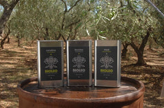 Olivenbaum Abo/Patenschaft / 3l Bio Extra Natives Olivenöl Coratina- Italien Apulien
